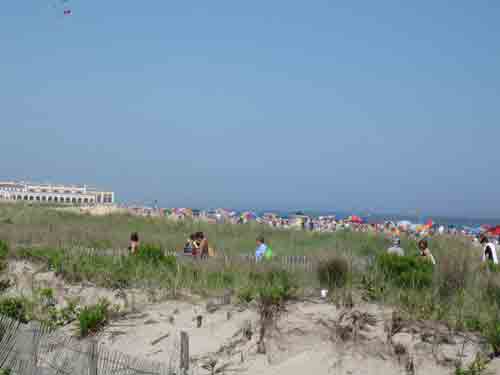 052810beach.jpg