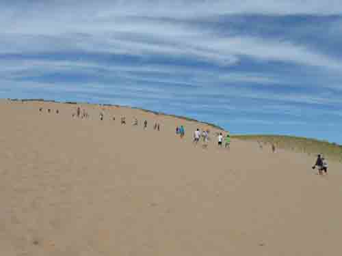 082510sanddune2.jpg