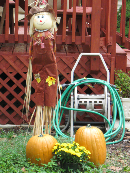 101113scarecrow.jpg