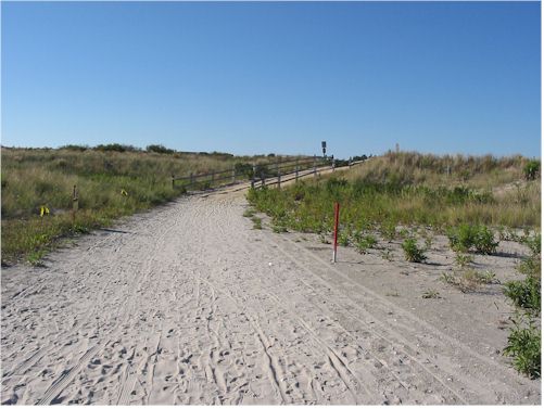 beachpath1.jpg