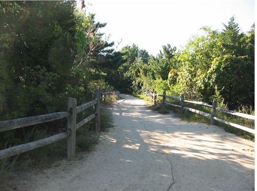 beachpath7.jpg