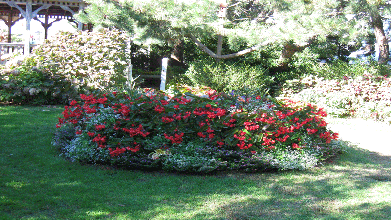 gardens102012.gif